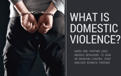 What is Domestic Violence?
