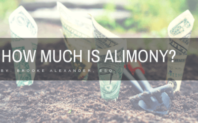 How much is Alimony?
