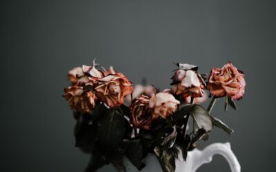 I’m Not Sure My Marriage is Over: Questions to Ask Yourself if You’re Unsure About Divorce