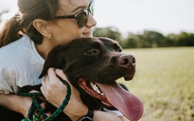 How To Decide Who Keeps the Pets During a Divorce